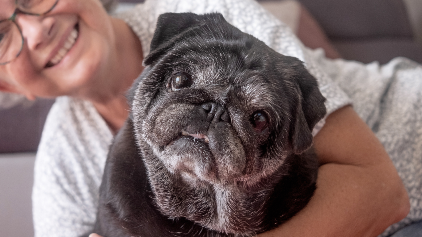 Tutora com seu cachorro, aprendendo sobre o check-up para pets idosos